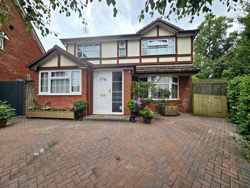 Main Image